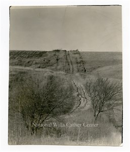 Image description is not available for PHO-264-623